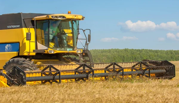 Paesaggio rurale. Raccoglitore nel processo di raccolta del grano cr — Foto Stock