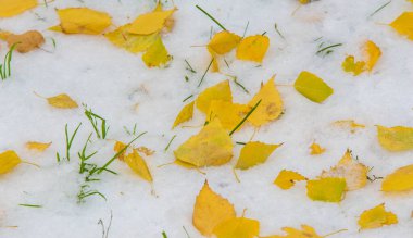 Sezonun ilk karını gece boyunca aldık.