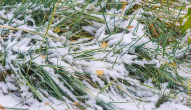 Sezonun ilk karını gece boyunca aldık.