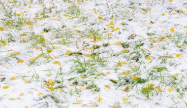 Sezonun ilk karını gece boyunca aldık.