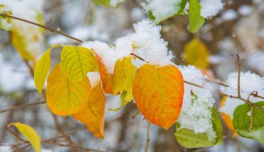 Sezonun ilk karını gece boyunca aldık.