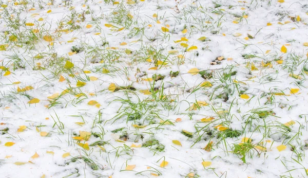 我们得到了我们的第一个雪的季节在夜间，灰尘 — 图库照片