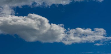 Doku arka plan, desen, duvar kağıdı. Onlar hala oldukça hig vardır