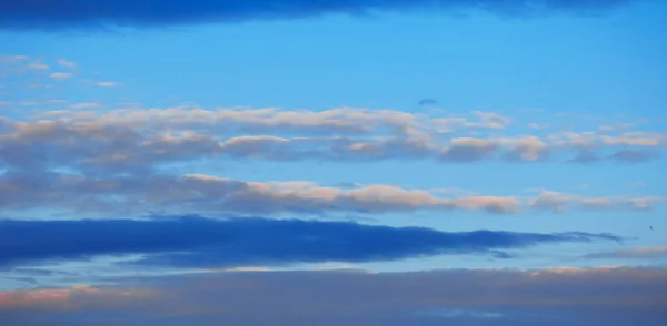 Textur Hintergrund, Muster, Tapete. sie sind immer noch recht hoch — Stockfoto