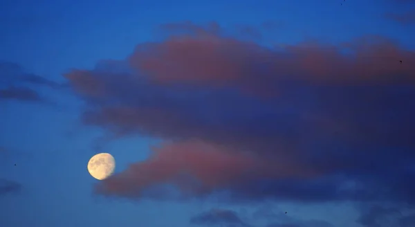 Textur Hintergrund Muster Tapete Sind Immer Noch Ziemlich Hohe Wolken — Stockfoto