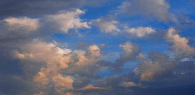 Doku arka plan, desen, duvar kağıdı. Onlar hala oldukça hig vardır