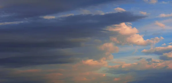 Textur Hintergrund, Muster, Tapete. sie sind immer noch recht hoch — Stockfoto