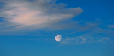 Doku arka plan, desen, duvar kağıdı. Onlar hala oldukça hig vardır