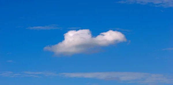 Textuur achtergrond, patroon, behang. Ze zijn nog steeds vrij hig — Stockfoto