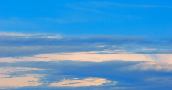 Textur Hintergrund, Muster, Tapete. sie sind immer noch recht hoch — Stockfoto