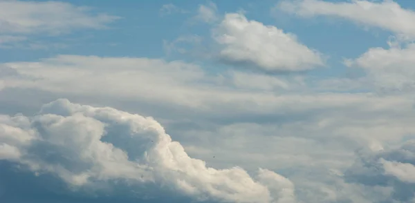 Textur Hintergrund, Muster, Tapete. sie sind immer noch recht hoch — Stockfoto