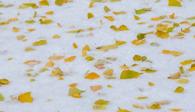 Sezonun ilk karını gece boyunca aldık.