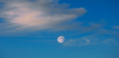 Doku arka plan, desen, duvar kağıdı. Onlar hala oldukça hig vardır