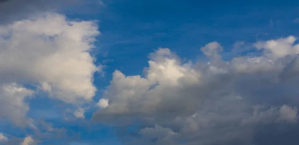 Textur Hintergrund, Muster, Tapete. sie sind immer noch recht hoch — Stockfoto