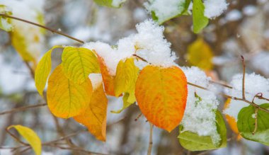 Sezonun ilk karını gece boyunca aldık.