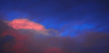 Doku arka plan, desen, duvar kağıdı. Onlar hala oldukça hig vardır