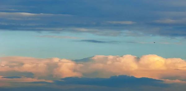 Textur Hintergrund, Muster, Tapete. sie sind immer noch recht hoch — Stockfoto