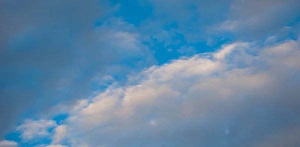 Textur Hintergrund, Muster, Tapete. sie sind immer noch recht hoch — Stockfoto