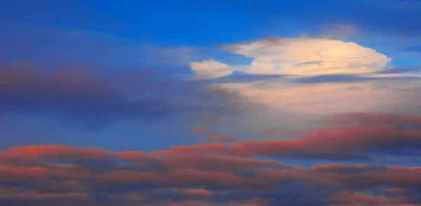 Textur Hintergrund, Muster, Tapete. sie sind immer noch recht hoch — Stockfoto