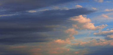 Doku arka plan, desen, duvar kağıdı. Onlar hala oldukça hig vardır