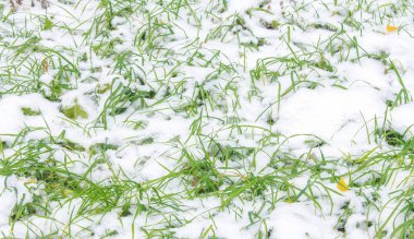 Sezonun ilk karını gece boyunca aldık.