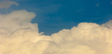 Doku arka plan, desen, duvar kağıdı. Onlar hala oldukça hig vardır