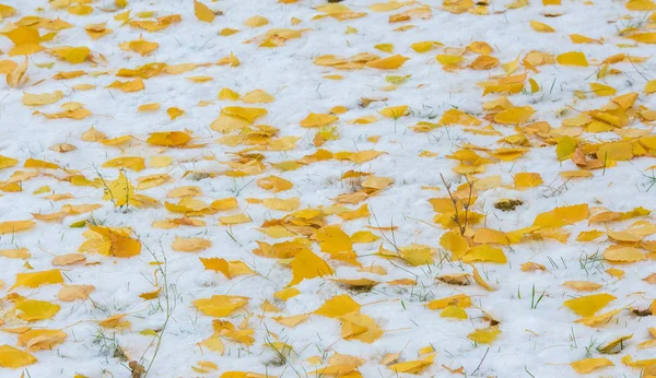 我们得到了我们的第一个雪的季节在夜间，灰尘 — 图库照片