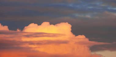 Doku arka plan, desen, duvar kağıdı. Onlar hala oldukça hig vardır