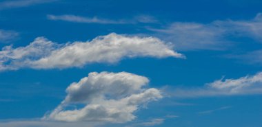 Doku arka plan, desen, duvar kağıdı. Onlar hala oldukça hig vardır