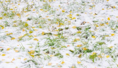 Sezonun ilk karını gece boyunca aldık.