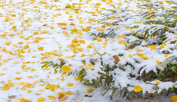 我们得到了我们的第一个雪的季节在夜间，灰尘 — 图库照片