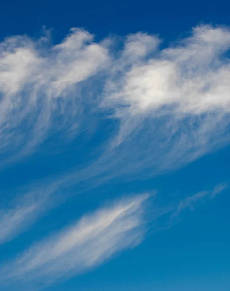 Textur Hintergrund, Muster, Tapete. sie sind immer noch recht hoch — Stockfoto