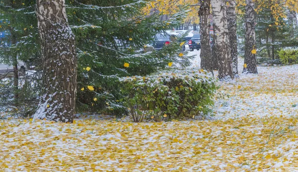 Tuvimos nuestra primera nieve de la temporada durante la noche, desempolvando —  Fotos de Stock