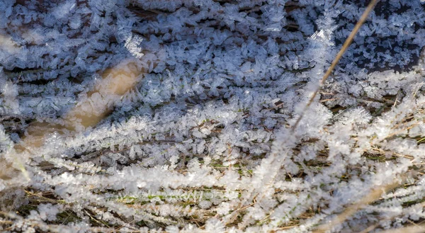 Texture background, pattern. Frost on the sprigs of grass. a dep — Stock Photo, Image