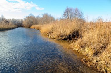 Kış, sonbahar manzarası. Buzlu nehir, yapraksız ağaçlar.