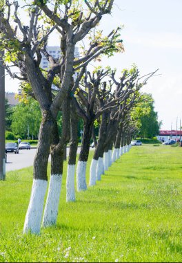 2018 05 10 Naberezhnye Chelny Rusya dokusu, arkaplan, patırtı