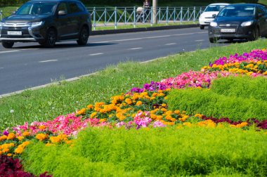 Şehir fotoğrafı, şehirdeki çiçeklikler, arka plandaki otoban...