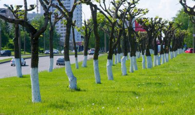 2018 05 10 Naberezhnye Chelny Rusya dokusu, arkaplan, patırtı