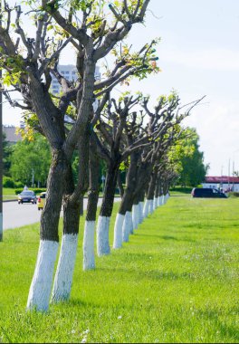 2018 05 10 Naberezhnye Chelny Rusya dokusu, arkaplan, patırtı