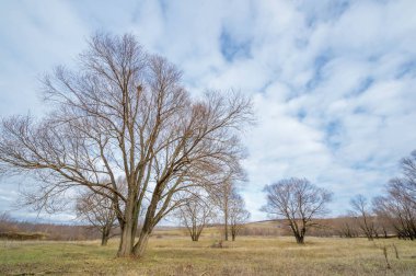 Kış, sonbahar manzarası. Buzlu nehir, yapraksız ağaçlar.