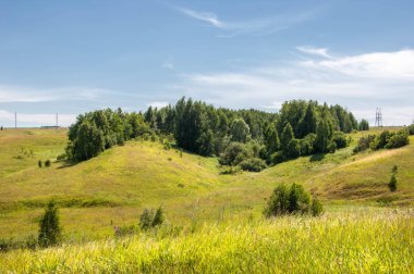 Yaz manzarası, vadi, çim filizi, karışık otlar. İğne ağaçları