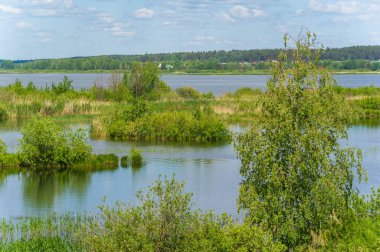 Nehir manzaralı yaz manzarası fotoğrafı. Büyük doğal bir st.