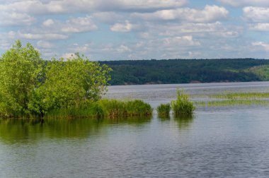 Nehir manzaralı yaz manzarası fotoğrafı. Büyük doğal bir st.