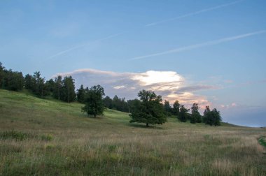 Yaz manzarası, arka planda dağ manzarası. 