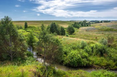 Yaz manzarası, vadi, çim filizi, karışık otlar. Küçük bir nehir.