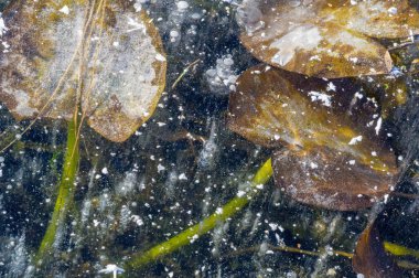 Doku deseni arka plan beyaz Kış, nehir buz hava kabarcıkları s