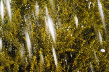 Doku deseni arka plan beyaz Kış, nehir buz hava kabarcıkları s