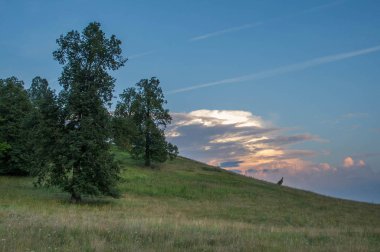 Yaz manzarası, arka planda dağ manzarası. 