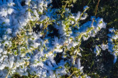 Doku deseni arka plan beyaz Kış, nehir buz hava kabarcıkları s