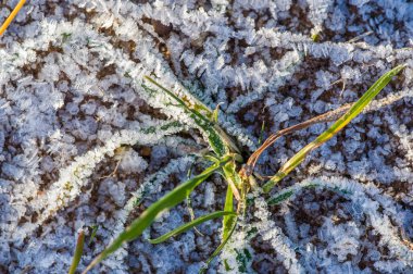 Doku arka planı, desen. Çimenlerin üzerinde buz. bir dep